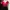 Y2K Casual Crop top Wanita white red photo 1