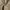 Casual Casual pants Pria tan photo 6