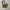 Billabong Streetwear Y2K Bag Pria tan black photo 5