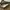 Billabong Streetwear Y2K Bag Pria tan black photo 4