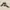 Nike Luxury Casual Sneakers Pria tan black photo 3