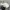47 Brand Vintage Hat Pria gray photo 2