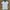 Burberry Minimalist Casual Polo shirt Pria blue photo 1