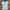 Burberry Minimalist Casual Polo Shirt Pria Blue