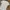 Burberry Minimalist Casual Polo shirt Pria blue photo 4