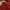 Stussy Streetwear Hoody Pria red photo 4