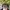 Chase Nascar Vintage Hat Pria black photo 3