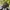 Chase Nascar Vintage Hat Pria black photo 1