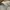 Casual Hoody Pria white photo 5