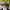 Chase Nascar Vintage Hat Pria black photo 2