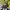 Chase Nascar Vintage Hat Pria black photo 1