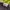 Chase Nascar Vintage Hat Pria black photo 5