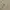 Crocodile Vintage Y2K Suit Pria tan cream photo 3