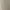Crocodile Vintage Y2K Suit Pria tan cream photo 4