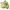 TAKA Craft Sportswear Casual Short Wanita green yellow photo 6
