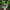 Vintage Hat Pria green photo 1