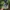 Vintage Hat Pria green photo 3