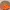 Shein Casual Crop top Wanita orange photo 5