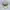 Columbia Sportswear Hat Pria cream photo 2