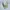 Blackyak Gorpcore Sportswear Hat Pria cream photo 1