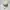 NEPA Gorpcore Sportswear Hat Pria cream photo 3