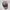 NEPA Gorpcore Sportswear Hat Pria cream photo 6