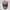 NEPA Gorpcore Sportswear Hat Pria cream photo 7
