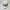 NEPA Gorpcore Sportswear Hat Pria cream photo 2