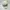 NEPA Gorpcore Sportswear Hat Pria cream photo 1