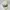 NEPA Gorpcore Sportswear Hat Pria Cream