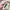 Coquette Crop top Wanita multicolor photo 7