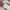 Coquette Crop top Wanita multicolor photo 2