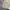 Casual Harrington jacket Pria cream photo 4