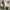 Casual Harrington jacket Pria cream photo 1
