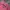 Jeep Streetwear Casual Sweater Pria pink photo 2