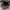 Casual Hat Pria navy photo 5