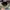 Casual Hat Pria multicolor photo 5