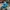 Casual Hat Pria blue photo 1