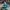 Casual Hat Pria Blue