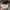 Puma Casual Hat Pria gray photo 5
