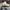 Casual Hat Pria cream photo 4