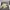 Stone Island Casual Windbreaker Pria cream photo 1