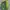 Uniqlo Minimalist Sweater Wanita green photo 2