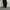 Y2K Sportswear Sweatpants & Joggers Pria black photo 5
