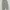 Y2K Sportswear Sweatpants & Joggers Pria gray photo 3