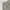 Y2K Sportswear Sweatpants & Joggers Pria gray photo 5