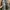 Japanese brand Casual Trench coat Pria brown black photo 2