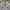 Spao Minimalist Jumper Pria gray photo 2