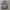WHO.A.U Minimalist Jumper Pria gray photo 1