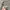 WHO.A.U Minimalist Jumper Pria gray photo 3